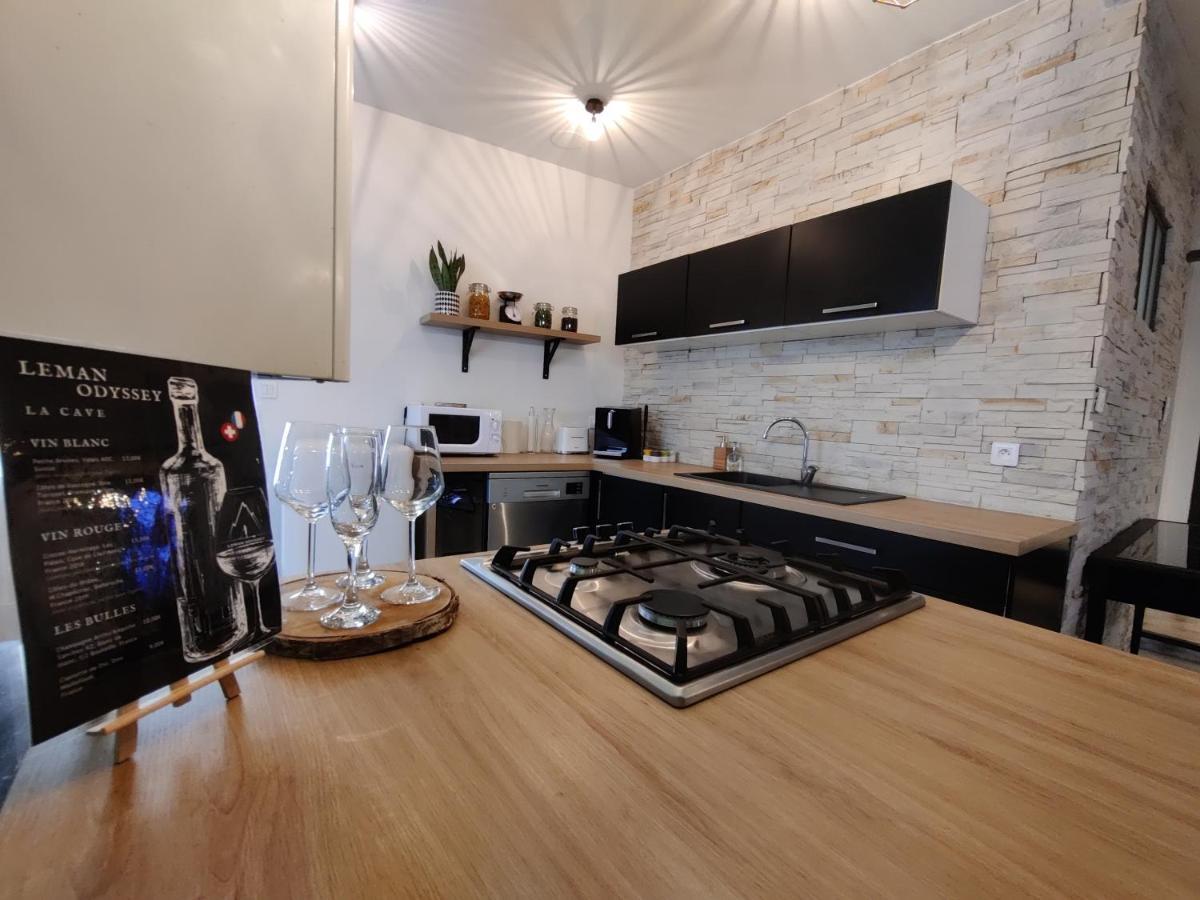 Appartement Hyper Centre Evian - Leman Odyssey Dış mekan fotoğraf